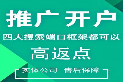 某电商平台的SEM推广策略——代运营公司的实践